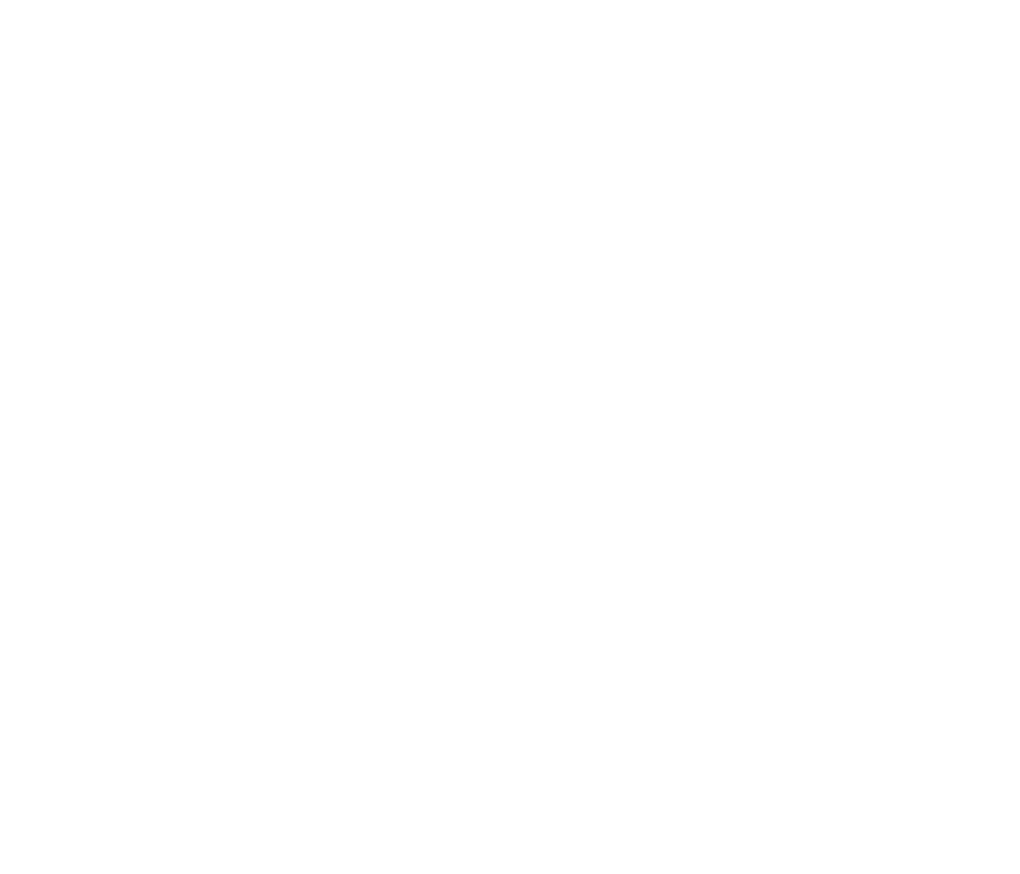 Sat-Raj, Inc.